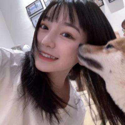 宠物精灵宝可梦4399手游下载